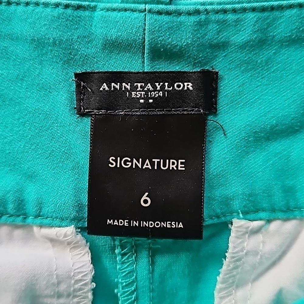 Ann Taylor Signature Green Cotton Stretch 4" Flat Front Shorts Size 6 - Picture 7 of 11